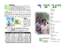 2019년 8월 11일 
