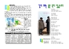 2019년 1월 20일