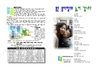 2019년 3월 17일