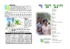 2019년 8월 4일 
