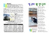 2025년 10월 12일 주보