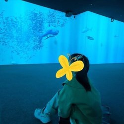 너무나 간절한 마지막 기도가 부디 하늘에, 그리고 가족분들께 닿기를 간절히 기도드립니다..